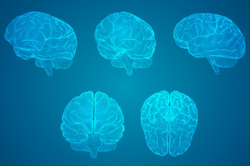 带提示语的句子有哪些