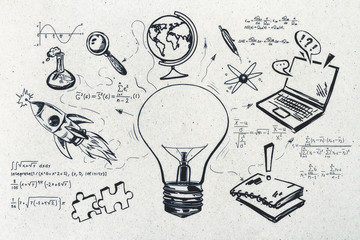 什么品种的月季比较耐阴耐寒