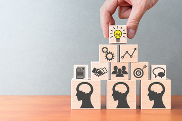 什么品种的月季比较耐阴耐寒