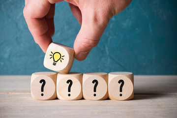 什么品种的月季比较耐阴耐寒