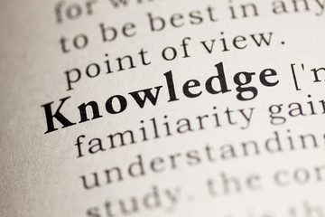 什么品种的月季比较耐阴耐寒