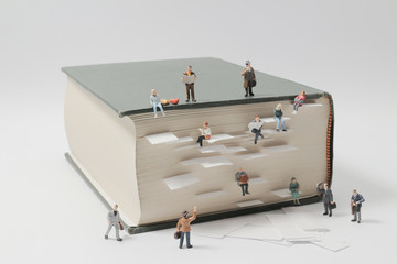 什么品种的月季比较耐阴耐寒