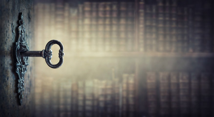 间隔数与棵树的数学题有哪些-