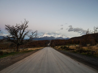 什么品种的月季比较耐阴耐寒