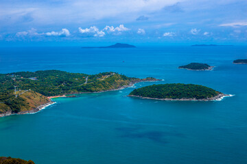 什么品种的月季比较耐阴耐寒