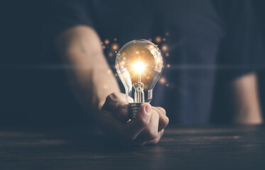 什么品种的月季比较耐阴耐寒