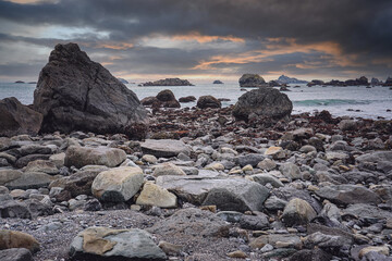 间隔数与棵树的数学题有哪些-