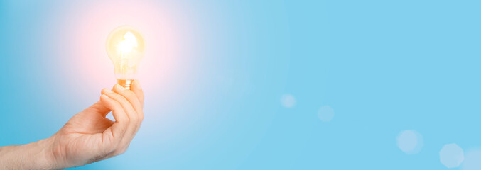 什么品种的月季比较耐阴耐寒