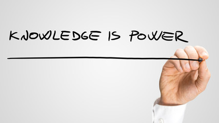 什么品种的月季比较耐阴耐寒