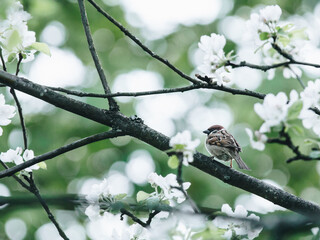 带提示语的句子有哪些