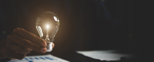 什么品种的月季比较耐阴耐寒