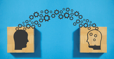 什么品种的月季比较耐阴耐寒