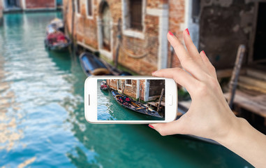 什么品种的月季比较耐阴耐寒