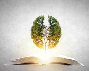 超标电动车出车祸交警怎么判