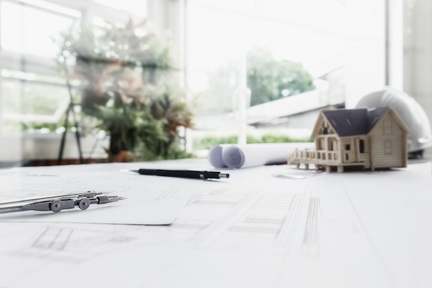 什么品种的月季比较耐阴耐寒