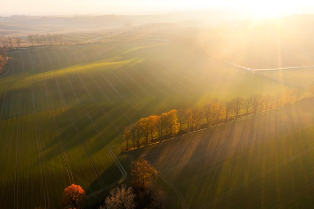 间隔数与棵树的数学题有哪些-